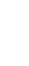 Vector image